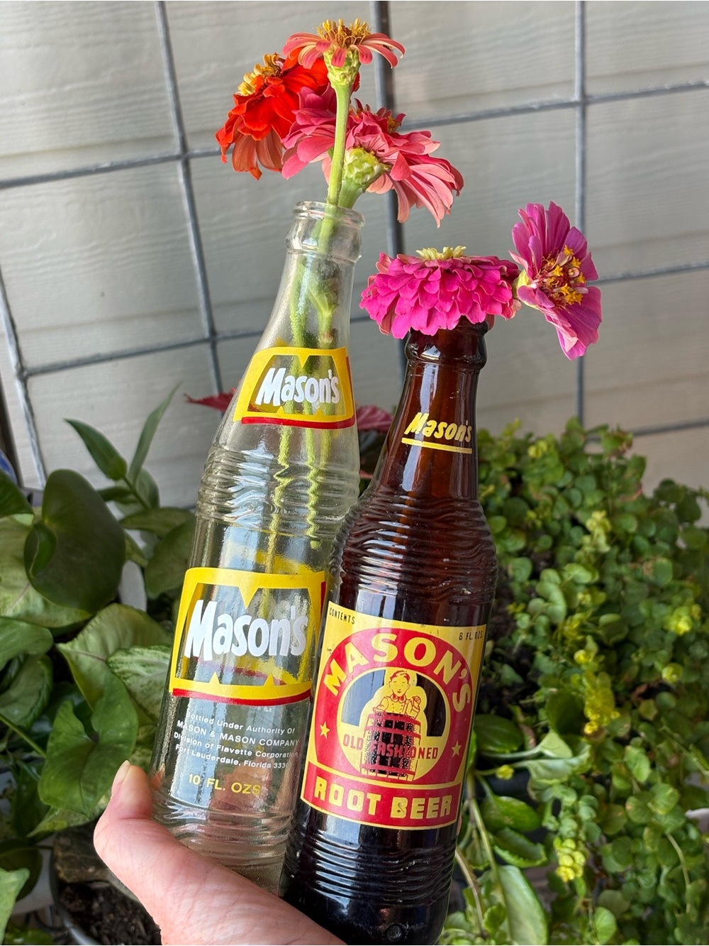 Vintage Soda Bottles Mason's Root Beer Amber & Clear Florida Chicago Illinois